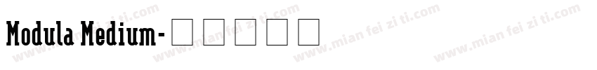 Modula Medium字体转换